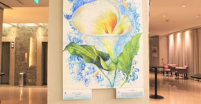 Hotel recebe exposição com obras feitas por mulheres