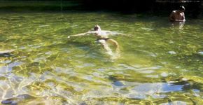 Conheça cachoeiras e praias quase desertas na reserva da Jureia