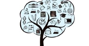 Feira de Ciências das Escolas Estaduais de SP abre inscrições