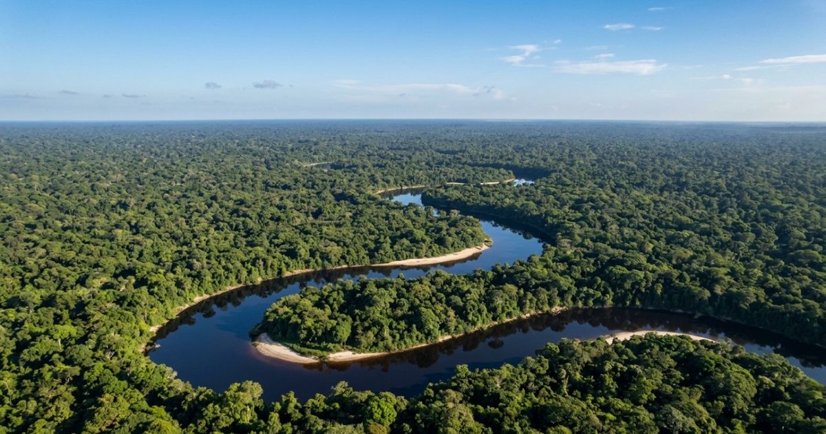 Mais de 2,2 milhões de hectares de floresta amazônica contínua: o ...