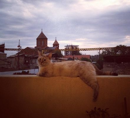 Reprodução / Instagram