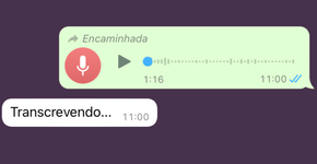 Foto: (Captura de tela do WhatsApp)