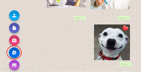 Foto: (Reprodução)