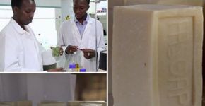 Estudantes criam sabonete capaz de repelir o mosquito da malária