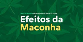 Neurocientista rebate post do Senado sobre efeitos da maconha