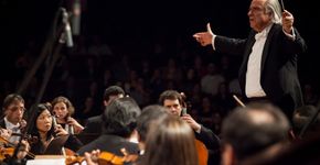 Foto: (Fernando Mucci)