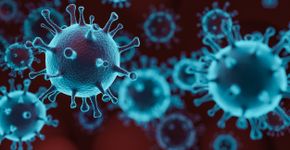 Foto: (JONGHO SHIN/istock)