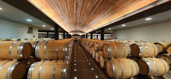 A sala de barricas subterrânea tem formato de barrica gigante