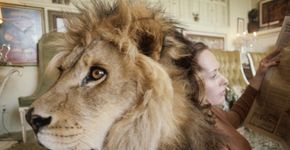 Fotos raras mostram Melanie Griffith com seu leão de estimação