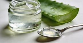 Como preparar um gel facial com aloe vera para revitalizar a pele e manter a aparência saudável