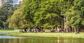 12 lugares para quem quer paz e sossego em São Paulo