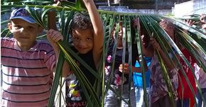 PE: atividade no quintal da escola aproxima crianças da natureza