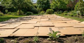 Como controlar o mato do jardim sem químicos, usando só caixas de papelão