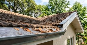 Nas casas com quintal grande a calha não entope porque usam telas de proteção nas árvores que soltam muitas folhas