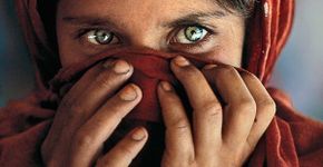 Livro conta as histórias por trás das fotografias de Steve McCurry