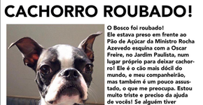 Cresce o número de sequestros de cães no Brasil