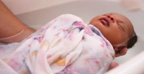 Aprenda a dar banho humanizado no bebê recém-nascido