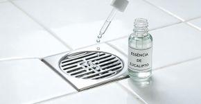 Nas casas mais organizadas da Suécia o banheiro não tem mau cheiro porque usam gotas de eucalipto para neutralizar o ralo