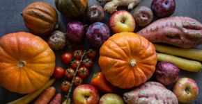 Outono à mesa: 6 legumes típicos da estação para proteger a saúde