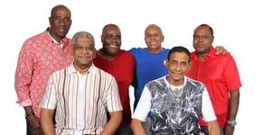 Fundo de Quintal e exposição na Feijoada da Família Portelense