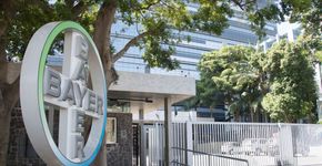Bayer abre 222 vagas para estágio com bolsa de R$ 1.700