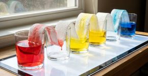 O experimento da água que “caminha” entre copos usando papel-toalha e corante: a explicação está em um fenômeno da física