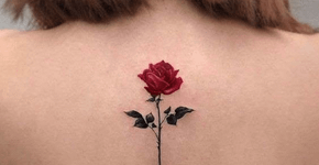 Dimenstein: por que vou mostrar 4 tatuagens campeãs na internet