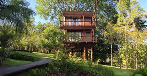 Hotel na selva amazônica inaugura bangalôs panorâmicos