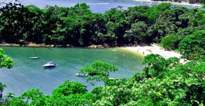 Foto: (Divulgação)