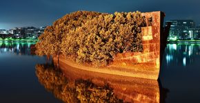 Navio abandonado de 102 anos vira floresta flutuante
