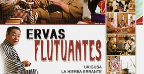 Ervas Flutuantes