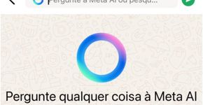 Foto: (Captura de tela do WhatsApp)