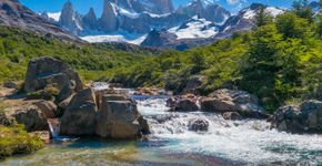 Foto: (NidoHuebl/iStock)