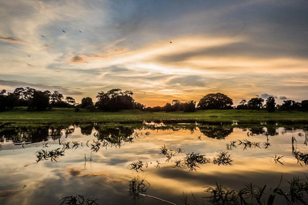 Pôr do sol no lago Mamirauá, na Reserva de Desenvolvimento Sustentável Mamirauá (AM)