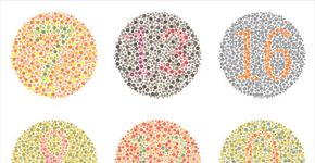 Foto: (eveleen007 - Fotolia)