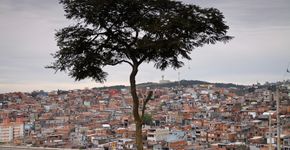 Agência Mural quer desconstruir estereótipos dos bairros periféricos de SP