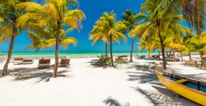 Foto: (zstockphotos/iStock)