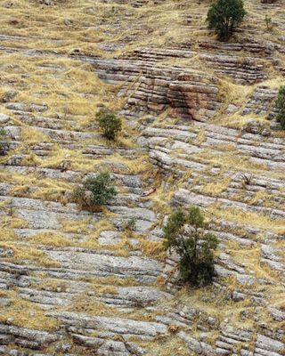 Os voluntários posaram em paisagens naturais exuberantes (Foto: Ruben Brulat)