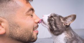 Foto: (Daria Kulkova/istock)