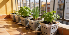 A horta de apartamento que virou febre por reduzir a conta do mercado