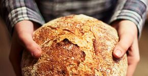 Dividindo o pão: quando a economia colaborativa une vizinhos