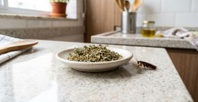Como espantar baratas de casa usando um pouco de orégano: repelente caseiro eficaz.Como espantar baratas de casa usando um pouco de orégano: repelente caseiro eficaz