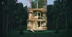 Projeto de casa em volta da árvore