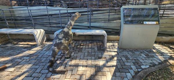 Réplica de um Abelissauro, dinossauro carnívoro que podia atingir cerca de oito metros de comprimento