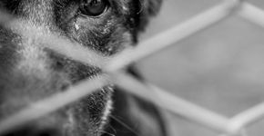 Foto: (germi_p/istock)