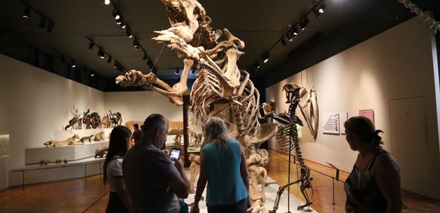 Museu de Zoologia da USP