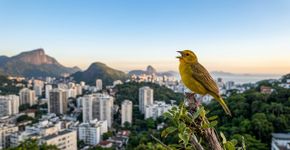 Foto: (Imagem gerada por IA)