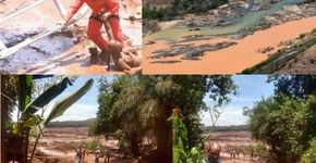 Brumadinho: “Não basta multar, tem que botar na cadeia”