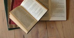 Feira de livros no Miguel de Cervantes e Shopping Granja Vianna