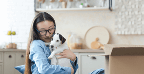 Veja como preparar a casa e a rotina ao adotar um animal de estimação